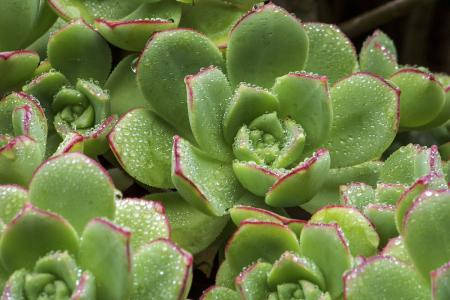 ձһ뾳߸ȾϷǳֵı¹ڲ