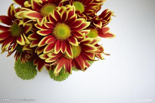 ÈÕ±¾ÚÁ·ÃÖ®äþµº»ðɽÅç·¢ ¾¯½ä¼¶±ðµ÷ÉýÖÁ3¼¶